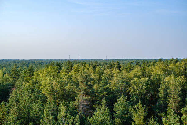 istock countryside landscape of fields and forests in summer 1185245207