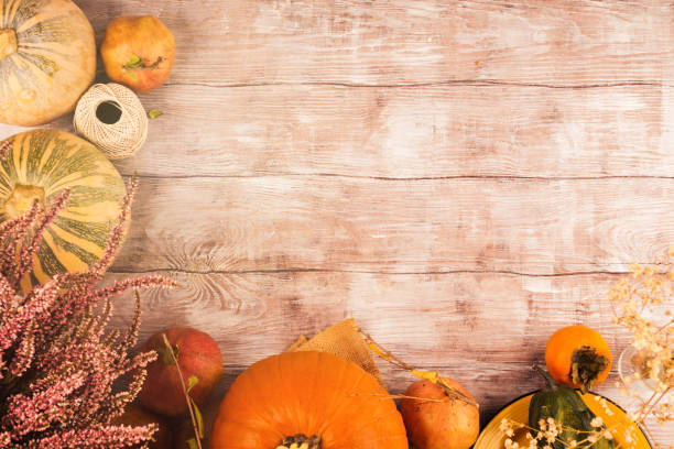 istock Autumn thanksgiving moody background with squash 1185245437