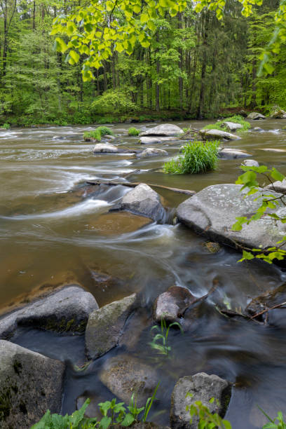 istock river Sazava near Smrcna, Czech Republic 1185246967