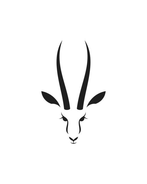 ilustrações de stock, clip art, desenhos animados e ícones de antelope springbok. - gazelle