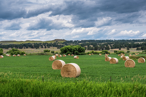 hay bales on farm undre dramatic Montana sky