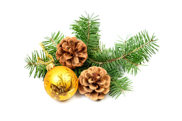 istock Pine cones with spruce tree branch and Christmas decoration 1185248278