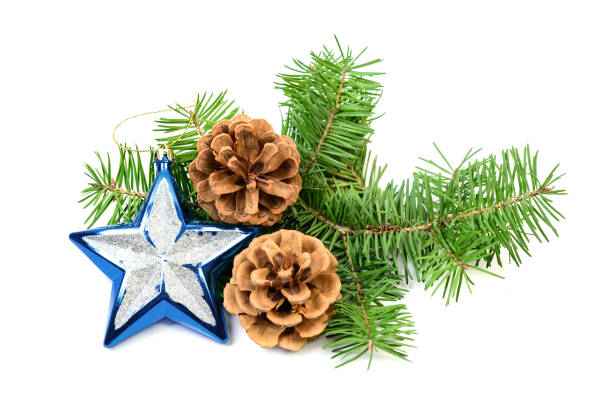istock Pine cones with spruce tree branch and Christmas decoration 1185248310