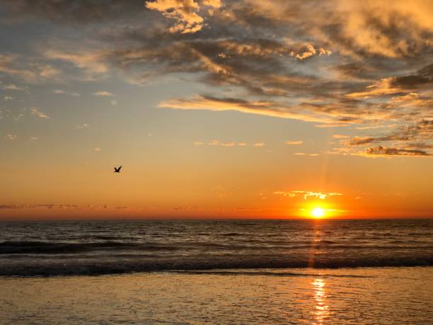 istock Sunset and cloudy sky over the Pacific Ocean 1185252640