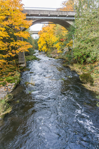 istock Tumwater Falls Park Bridge Over River 4 1185256995