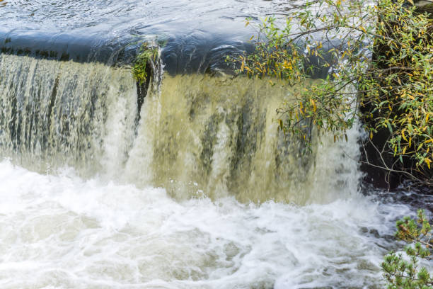 istock Tumwater Falls Park Watrfall Close-up 1185257029
