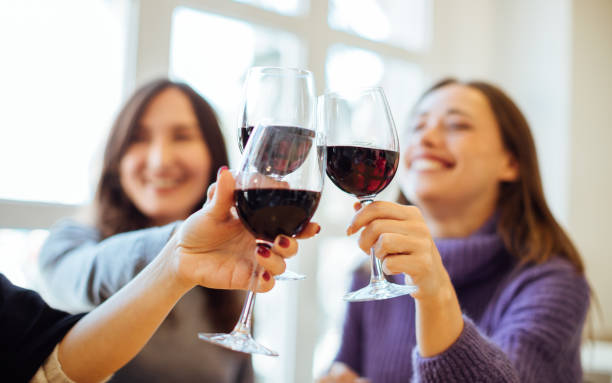 Group of girls (women) drinking red wine, celebrating and having fun together, focus on clinking glasses stock photo