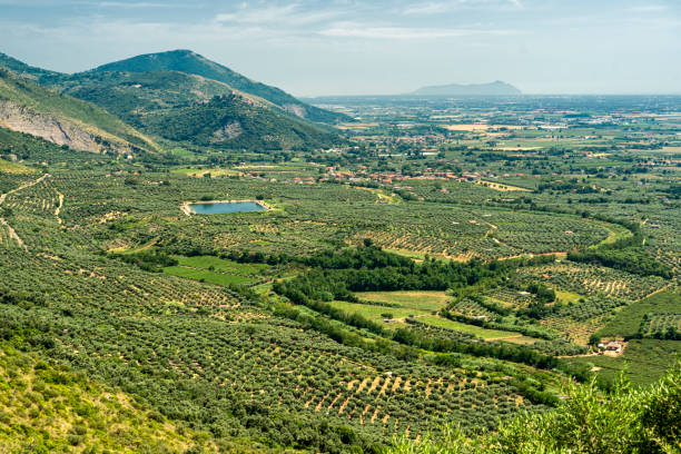 On the road to Norma, Latina, italy Summer landscape along the road from Sermoneta to Norma, Latina, Italy sermoneta stock pictures, royalty-free photos & images