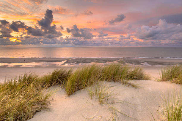 View over North Sea from dune Sunset View from dune over North Sea and Canal in Zeeland, Netherlands sand dune photos stock pictures, royalty-free photos & images
