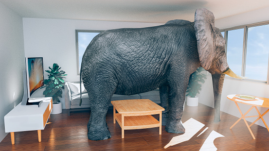 Concept of not having enough space in a house or apartment. Maybe it is time to move to another place. Elephant trapped inside the living room and looking out of the windows. Probably daydreaming about another place to live with more space.\nNote: The image on the tv is also my work. File #1152458876