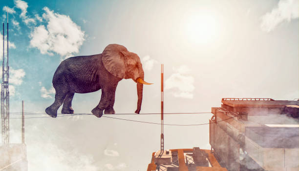 istock Concept image of elephant walking on rope between two buildings 1185260097