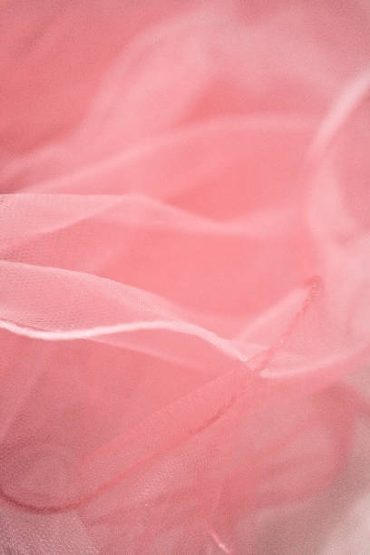 istock Abstract Pastel Pink Pantone Colors Background 1185260574