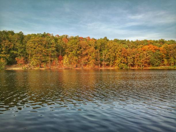 istock Schlachtensee beautiful landscapes 1185262354