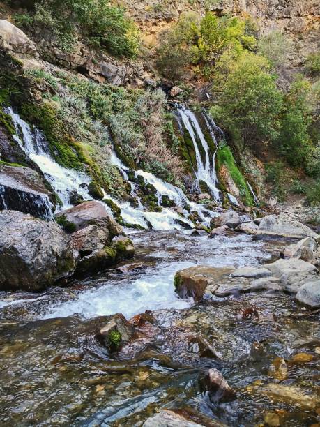 istock Trabzon Waterfall Nature Reserve 1185263067