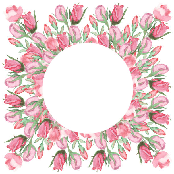 ilustrações de stock, clip art, desenhos animados e ícones de watercolor hand painted nature romantic holiday celebration circle border frame with pink flower roses and green branches on the white background for saint valentine's day invitations and cards - efflorescent