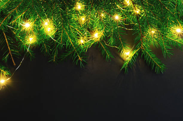 istock Fir tree branches and lamps top view on black background. Decorative frame with copyspace on floral backdrop. New Year tree shining garland, Christmas decorations. Winter holidays composition 1185266673