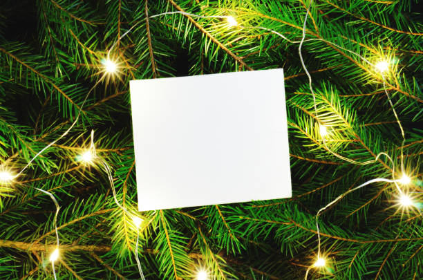 istock Fir tree branches and lamps top view background. Decorative frame with copyspace on floral backdrop. New Year tree shining garland, Christmas decorations. Winter holidays composition 1185266719