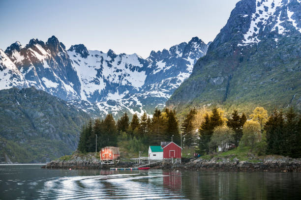 istock sailing in the Lofoten Islands, Norway 1185271246