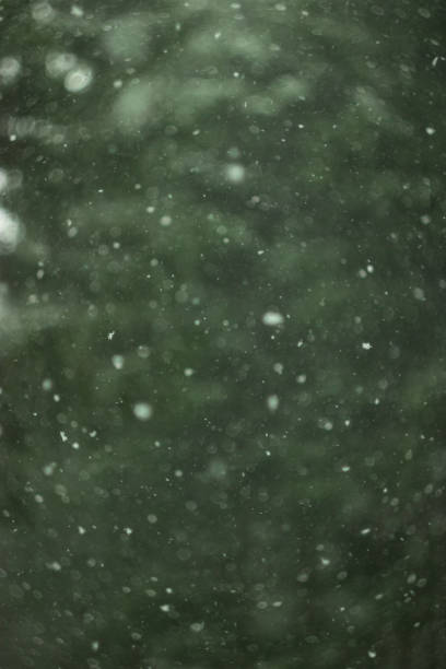 istock snow bokeh on green christmas tree background 1185271311