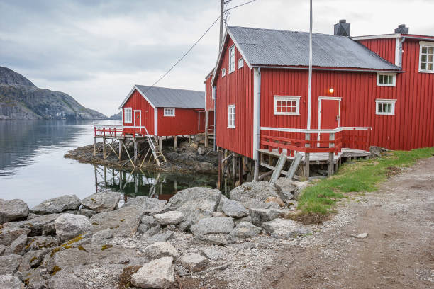 istock Lofoten Islands, Norway 1185271573