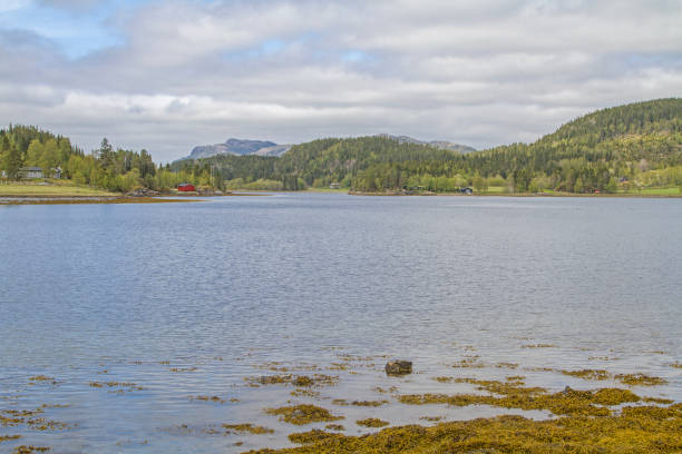 istock Blikkengfjord in the Trondelag 1185274608