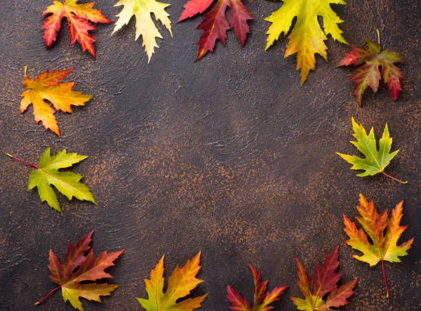 istock Autumn background with maple leaves 1185276901