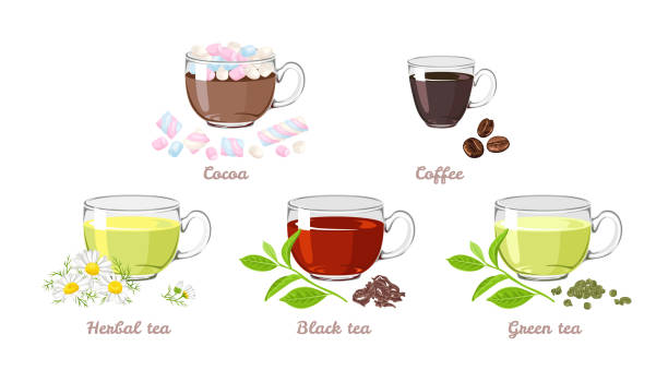 Set of hot drinks in glass cups isolated on white background. Vector illustration of cocoa with marshmallows, coffee, black and green tea, herbal chamomile tea in cartoon simple flat style. Set of hot drinks in glass cups isolated on white background. Vector illustration of cocoa with marshmallows, coffee, black and green tea, herbal chamomile tea in cartoon simple flat style. black tea stock illustrations