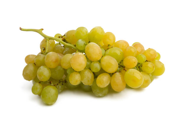 istock bunch of grapes isolated 1185281674