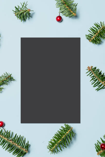 istock Blank card with fir tree branches and red berries decoration on blue background 1185284551