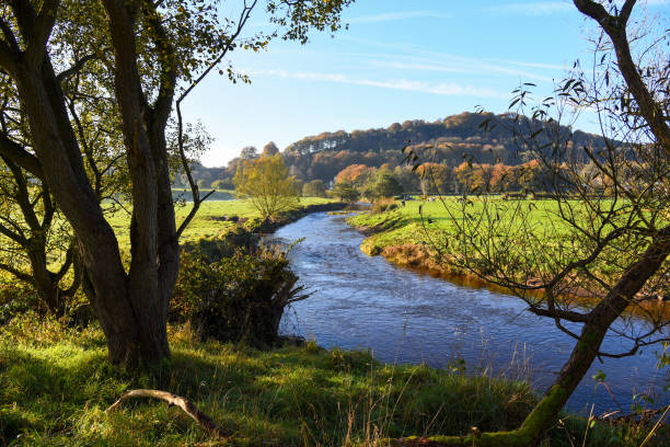 Autumn valley The River Darwen, Lancashire lancashire stock pictures, royalty-free photos & images