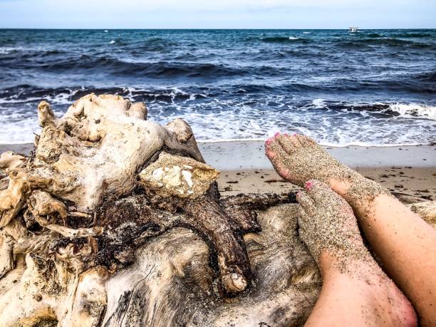 woman's feet and driftwood on the beach stock photo