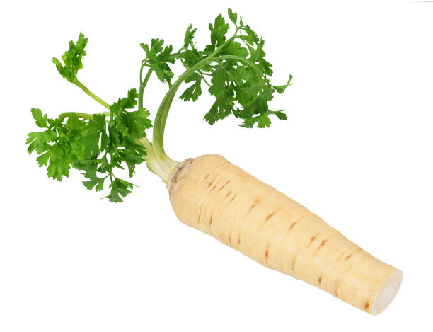 istock fresh parsley root isolated on white background 1185289186