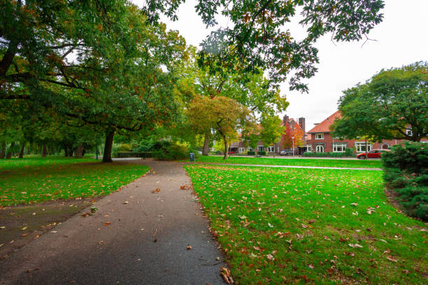 istock City park, trees reflection on the pond water, autumn. Eindhoven, Netherlands. 1185290474