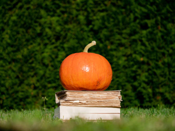 istock Pumpkin and books on a grass on yard in october 1185292229