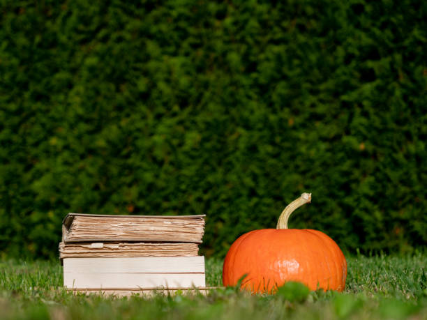 istock Pumpkin and books on a grass on yard in october 1185292235