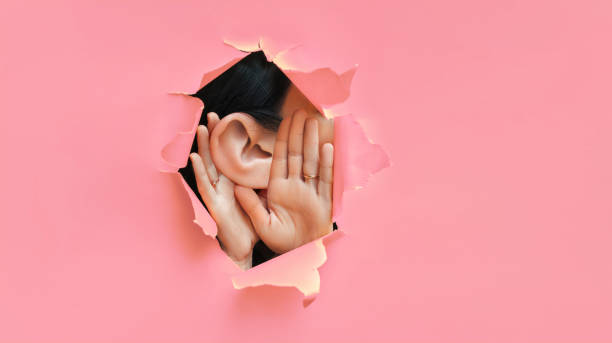 Female ear and hands close-up. Torn paper, pink background. The concept of eavesdropping, espionage, gossip and the yellow press. Caricature with an enlarged ear. stock photo