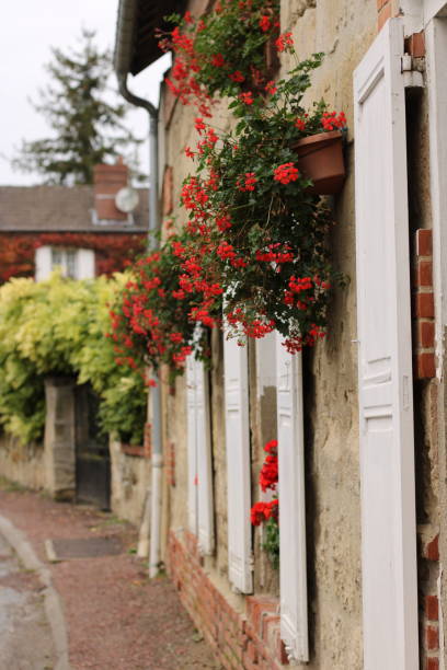 istock French rural village house 1185296572