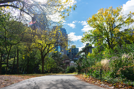 An empty trail at Fort Greene Park in Brooklyn New York lined with colorful trees and plants during autumn with skyscrapers in the background
