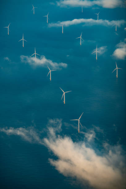 istock Rows of wind turbines at sea 1185298825