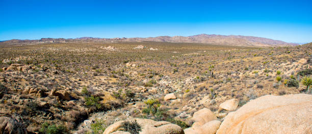 istock High Mojave Valley Vista 1185301545