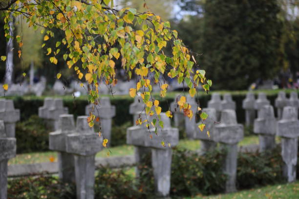 istock cross in cemetery, Warsaw , Poland 1185304546