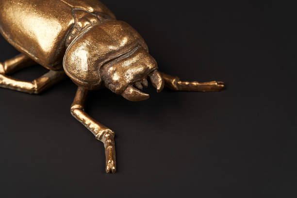 istock Golden scarab beetle on black background with copy space 1185305953