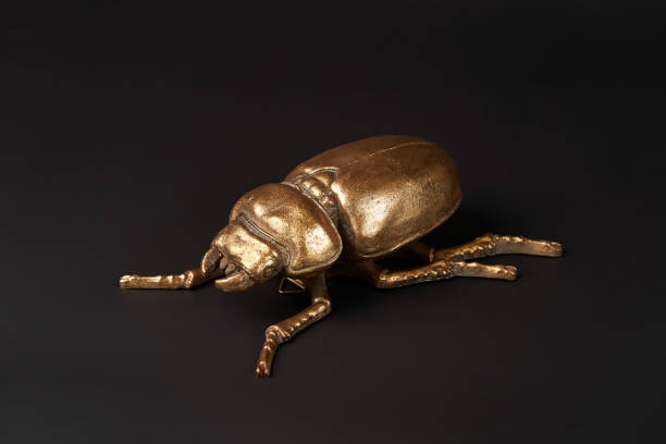 istock Golden scarab beetle on black background with copy space 1185305955