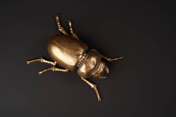 istock Golden scarab beetle on black background with copy space 1185305956