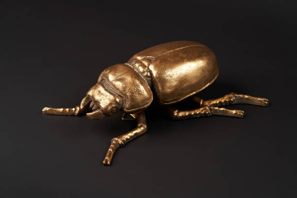 istock Golden scarab beetle on black background with copy space 1185305964