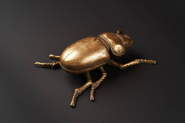 istock Golden scarab beetle on black background with copy space 1185305965