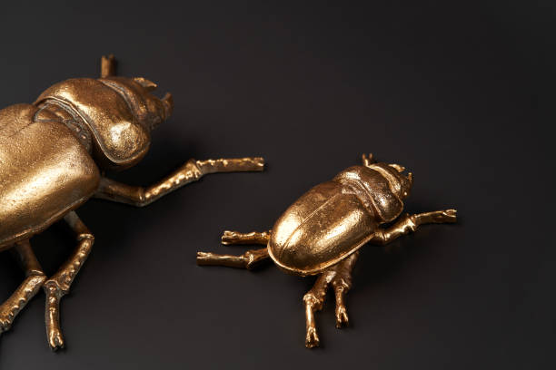 istock Golden scarab beetle on black background with copy space 1185305966