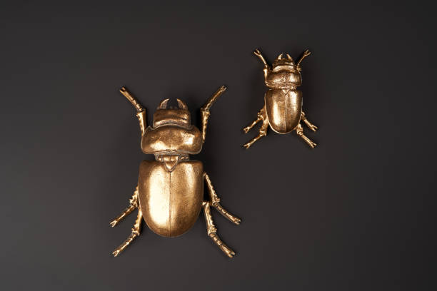 istock Golden scarab beetle on black background with copy space 1185305968