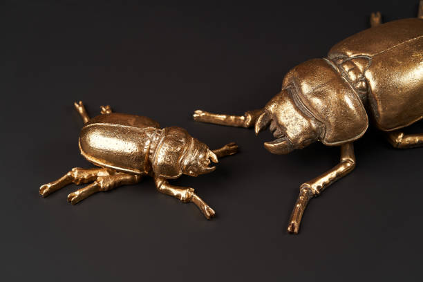 istock Golden scarab beetle on black background with copy space 1185305972