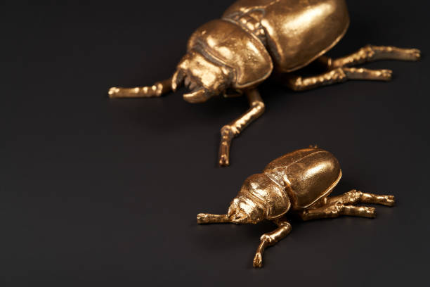 istock Golden scarab beetle on black background with copy space 1185305973